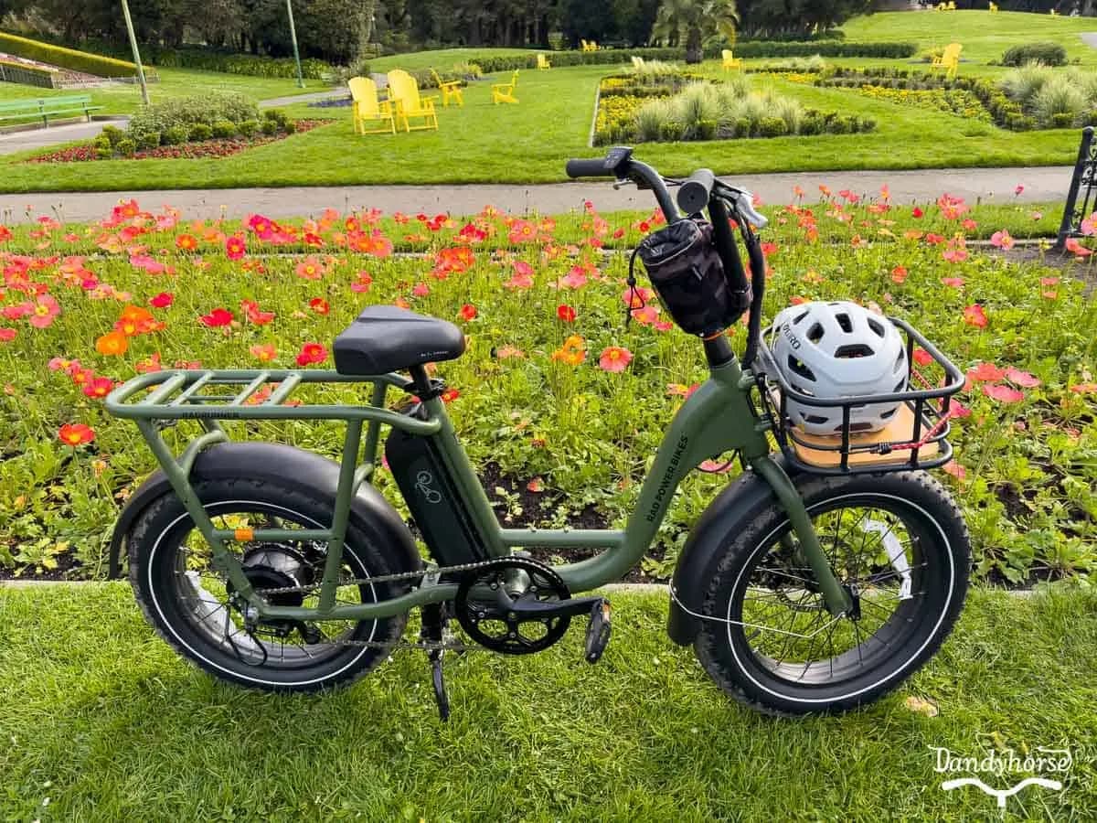 Rad Power Bike 4
